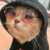 Profile picture of StillDaSeym