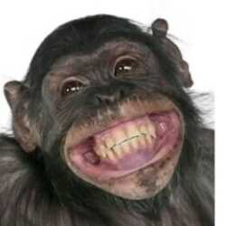 Profile picture of Daniel Fronda Bantolo