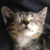 Profile picture of Astrid!