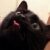 Profile picture of Sammi