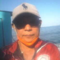 Profile picture of jayvee
