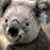 Profile picture of JAY KAY