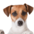 Profile picture of Jerick Ampatuan