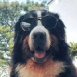 Profile picture of AReS TuToL