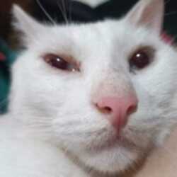 Profile picture of Marianne Cyrille Apostol