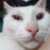 Profile picture of Marianne Cyrille Apostol