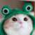 Profile picture of mewo