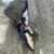 Profile picture of Cecille Sedilla