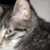 Profile picture of Jecah
