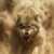 Profile picture of Bheng